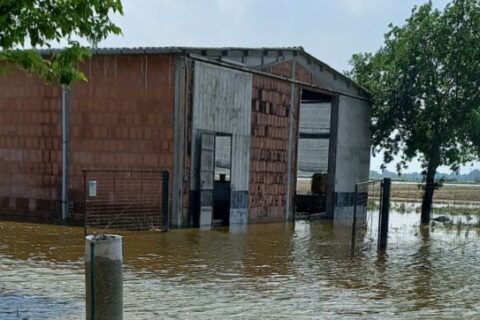 bortolotti-1200-690x362-1