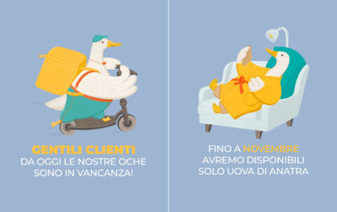 oche-vacanza