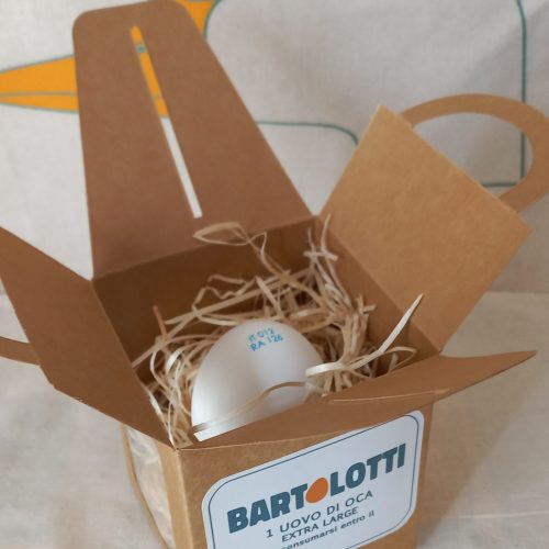 1 uovo di Oca in box