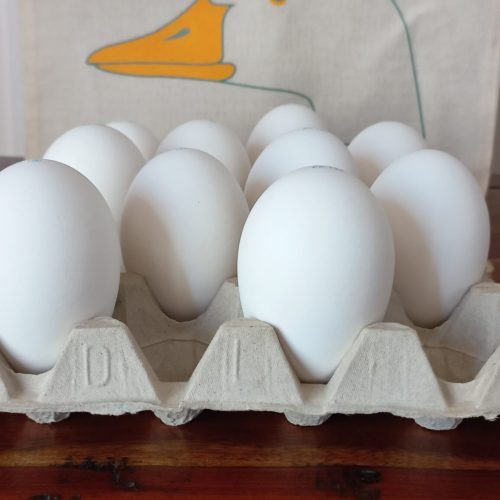 10 uova di Oca sfuse in vassoio porta uova