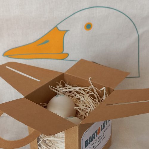 2 uova di Anatra Muta in box