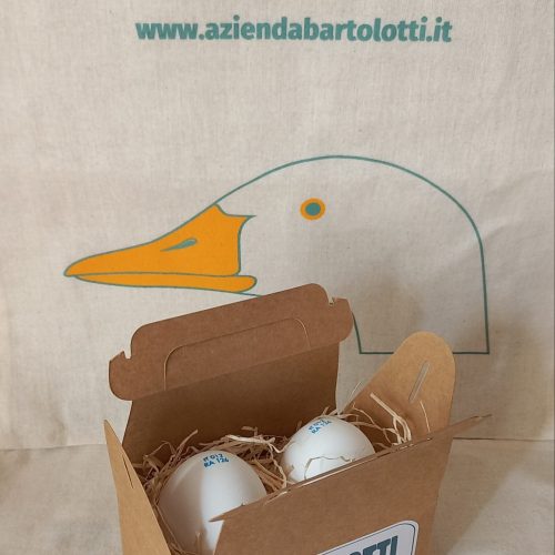 2 uova di Oca in box