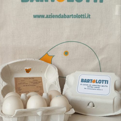 6 uova di Anatra Muta in box