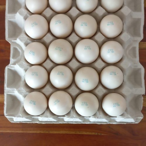 20 uova di Anatra Muta sfuse in vassoio porta uova